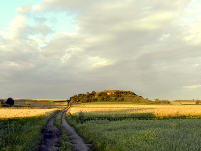Rezerwat Przęślin