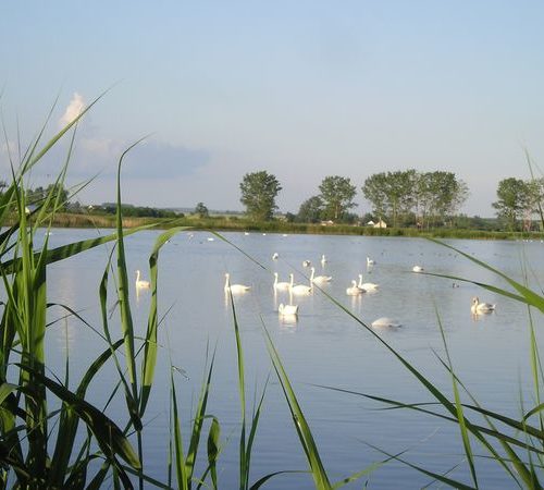 Stawy w Górkach	