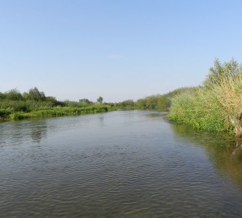 	Nida	